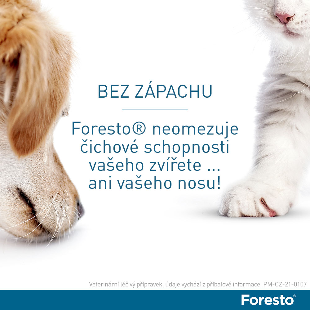 Foresto 1.25g+0.56g obojek kočky+psy do 8kg 38cm. Foto 2