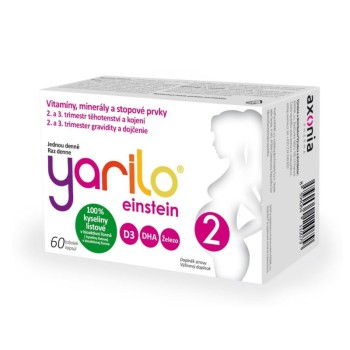 YARILO einstein 2 60 tobolek