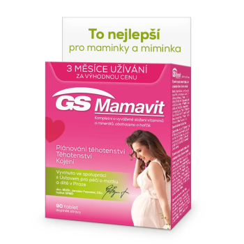 GS Mamavit 90 tablet