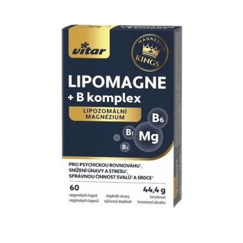 Vitar LIPOMAGNE+B komplex 60 kapslí