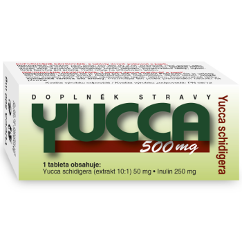 NATURVITA YUCCA 500mg tbl.60