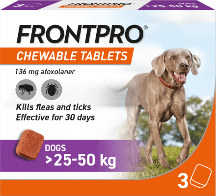 FRONTPRO®. Foto6