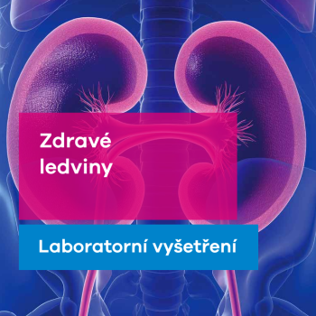 Zdravé ledviny
