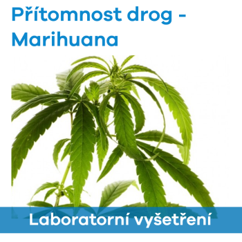 EUC Laboratoře - Přítomnost drog (Marihuana)