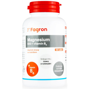 Magnesium 500 + vit.B6 tbl.100 Fagron