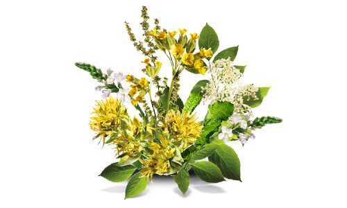 ACC LONG 600 mg 20 tablet. Foto 3