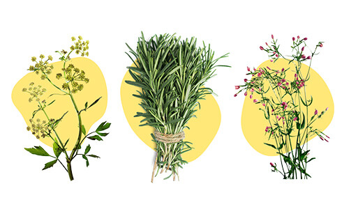 ACC LONG 600 mg 20 tablet. Foto 3