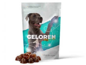 Geloren dog L-XL kloubní výživa tbl.60