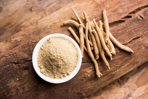 ashwagandha-aswaganda-indian-ginseng-is-ayurveda-medicine-stem-powder-form-isolated-plain-background-selective-focus-1