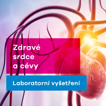 Zdravé srdce a cévy