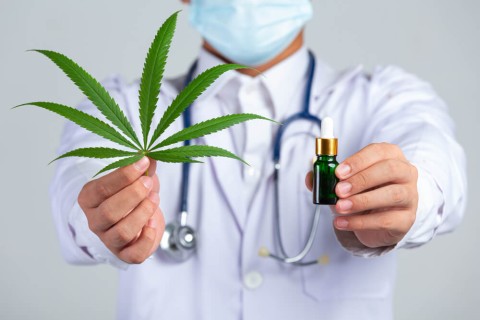 medical-doctor-holding-cannabis-leaf-bottle-cannabis-oil-white-wall-1