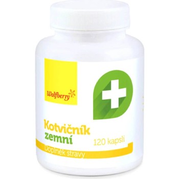 Kotvičník zemní cps.120 Wolfberry