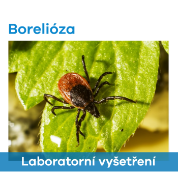 EUC Laboratoře - Borelióza