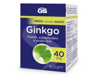GS Ginkgo 40mg tbl.90+30