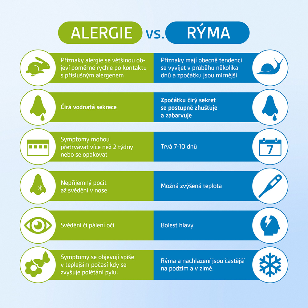 Alergie vs. rýma