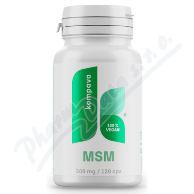 MSM 500mg cps.120